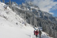 Winterwandern in Tannheim