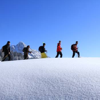 Randonnées en raquettes en hiver