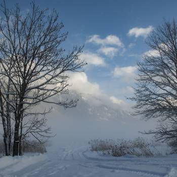 beautiful foggy mountains 