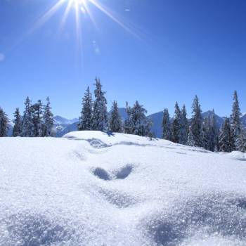 Winterlandschaft