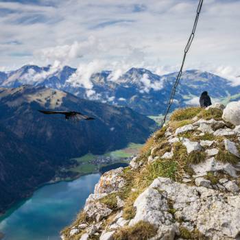 Berggipfel Tannheim Grän 