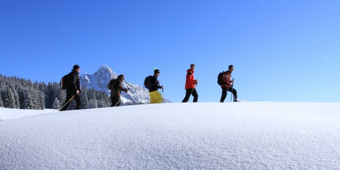 Schneeschuhwandern Panorama Grän Tannheim