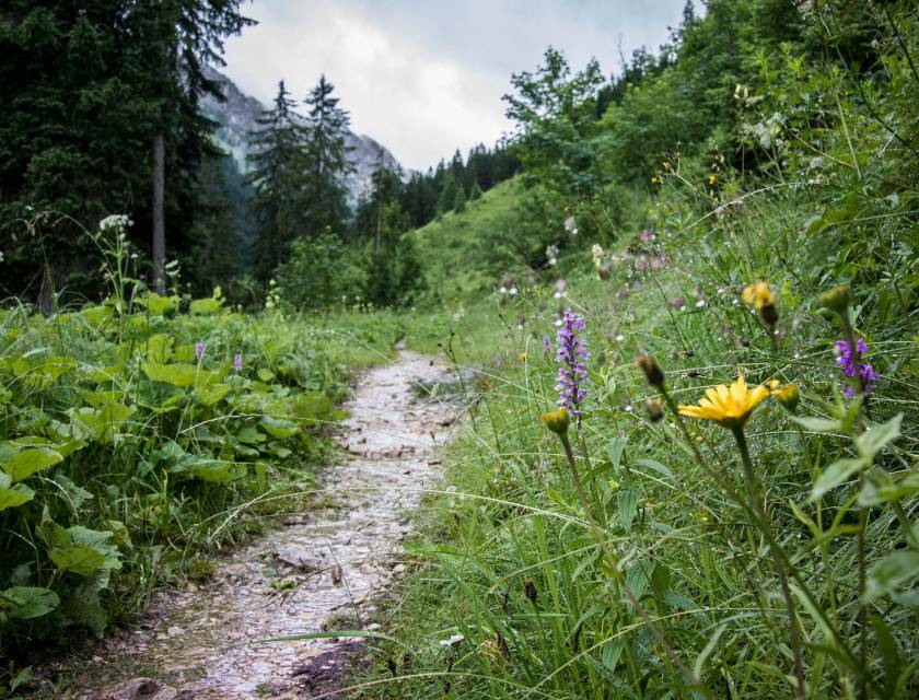 3 Tipps zum Regenwandern