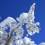 Winterwandern im Tannheimer Tal - meine Lieblingstouren, Bild 2/3