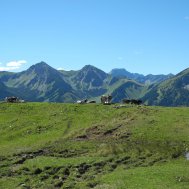 Der niedrigste Gipfel im Tannheimer Tal, Bild 4/6