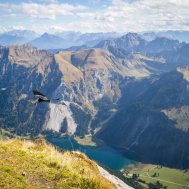 Der höchste Gipfel im Tannheimer Tal, Bild 2/7