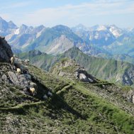 Der höchste Gipfel im Tannheimer Tal, Bild 5/7