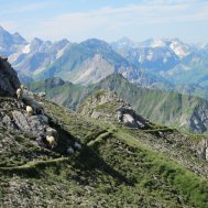 Der höchste Gipfel im Tannheimer Tal, Bild 5/7