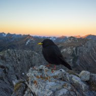 Sonnenaufgangswanderung … der frühe Wurm hat einen Vogel …, Bild 4/4