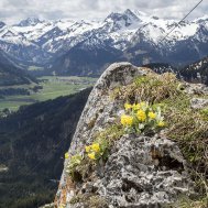 Ein früher Frühling im Tannheimer Tal, Bild 2/3