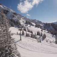 Ski, Ski, Ski, Skifahren ist schön, Bild 2/3