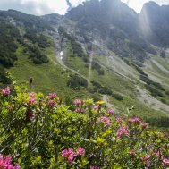 Wandern für Faule im Tannheimer Tal, Bild 3/5