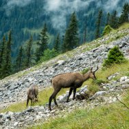 Wandern für Faule im Tannheimer Tal, Bild 2/5
