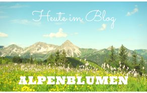 Die Big Five der Alpenblumen, Bild 1/6