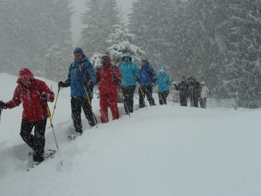 Nordstau im Tannheimer Tal, Bild 1/1