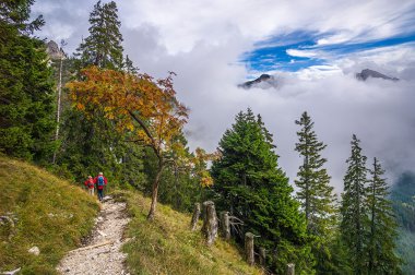 Herbstwandern im Tannheimer Tal, Bild 1/1