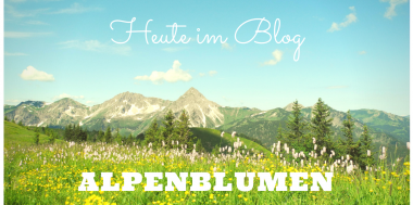 Die Big Five der Alpenblumen, Bild 1/6