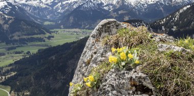 Tipps zum Wanderurlaub im Frühling, Bild 2/2