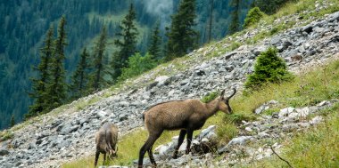 Wandern für Faule im Tannheimer Tal, Bild 2/6