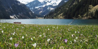 7 Tipps für frühe Frühlings-Wandertouren im Tannheimer Tal, Bild 2/4