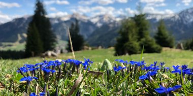 Frühlings Wanderurlaub im Tannheimer Tal, Bild 1/2