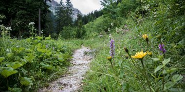 3 Tipps zum Regenwandern, Bild 1/4