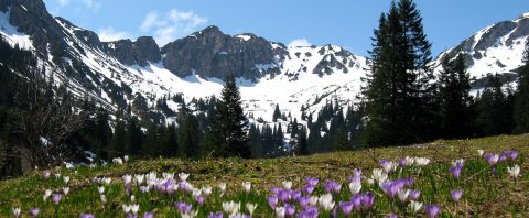Tannheimer Tal