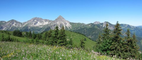 Panorama Tannheimer Tal