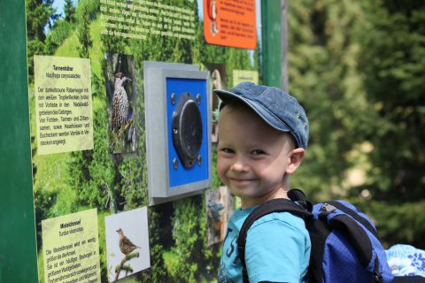 Familienwandern